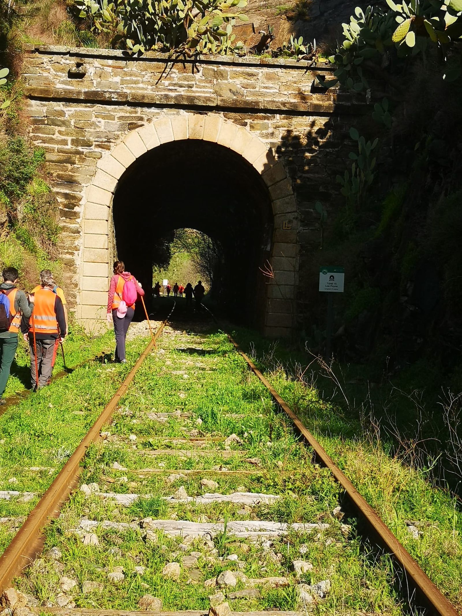 Más de un centenar de senderistas recorren La Fregeneda entre almendros en flor