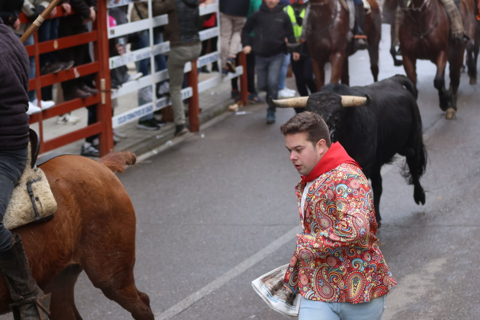 Encierro a Caballo en el Carnaval del Toro 2026 de Ciudad Rodrigo