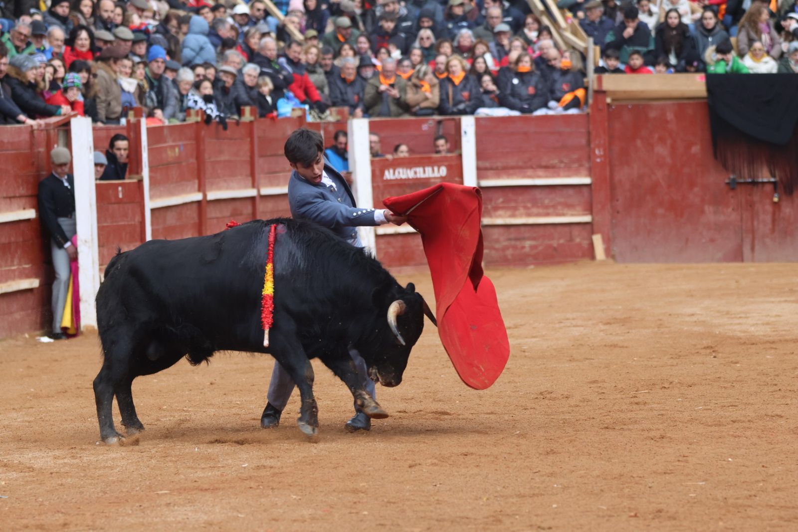 Novillada sin picadores del bolsín taurino y rejones en Ciudad Rodrigo