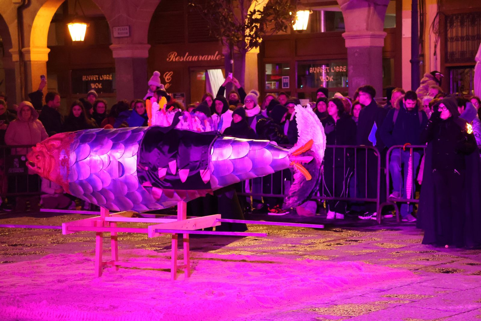 GALERÍA | Entierro de la sardina Zamora 2026