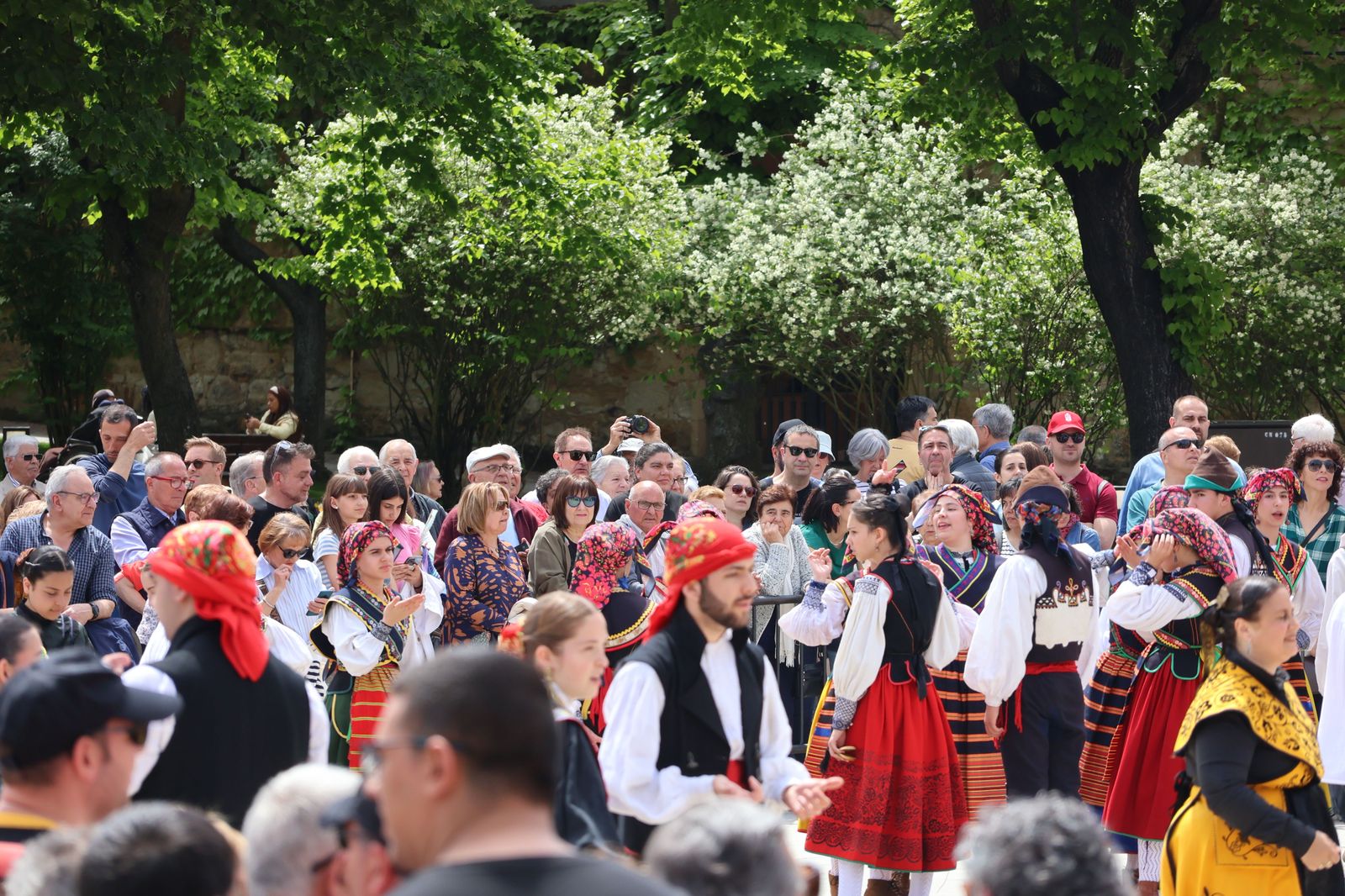 el-bolero-de-algodre-en-la-plaza-de-la-catedral-57