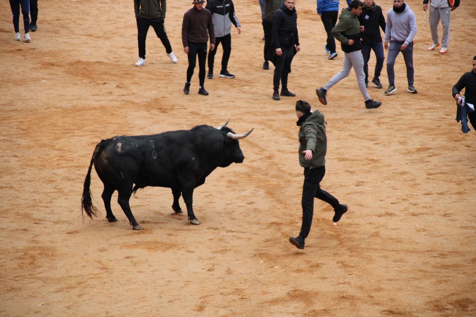 whatsapp-image-2025-03-01-at-13-18-38-4