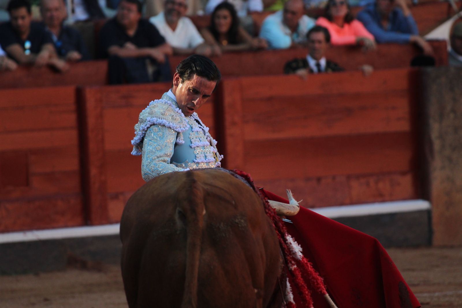 Emilio de Justo, Juan Ortega y Roca Rey inauguran el cartel de figuras en la feria de Salamanca: la corrida de Garcigrande en imágenes