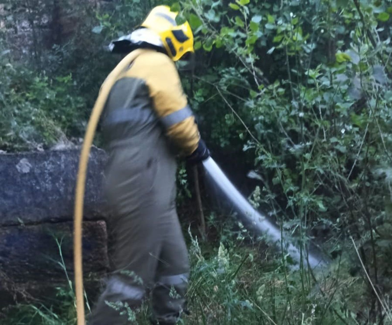 whatsapp-image-2025-06-06-at-21-44-48