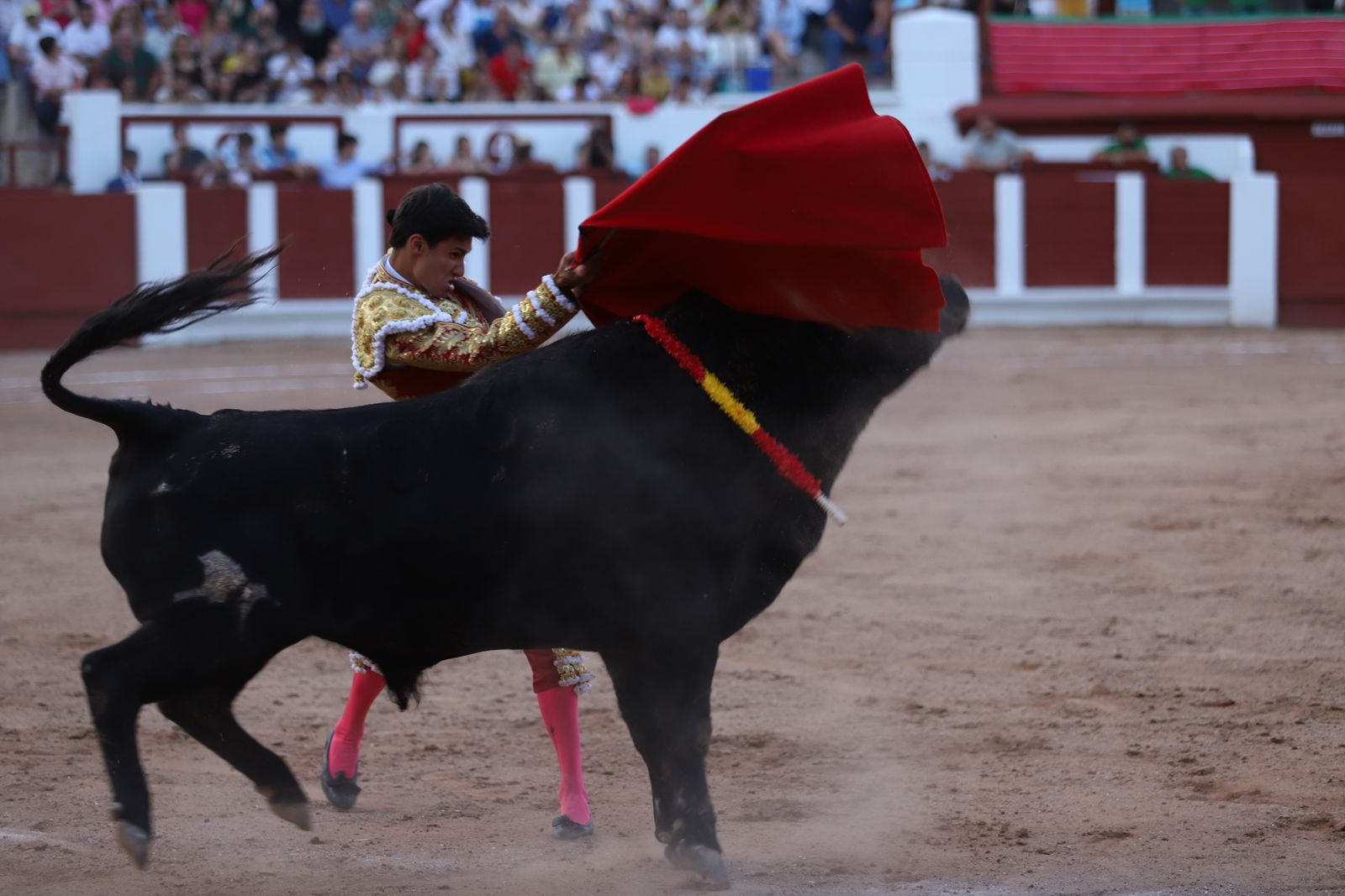 GALERÍA | Borja Jiménez, Manuel Diosleguarde y Emilio de Justo en la Feria Taurina de San Pedro