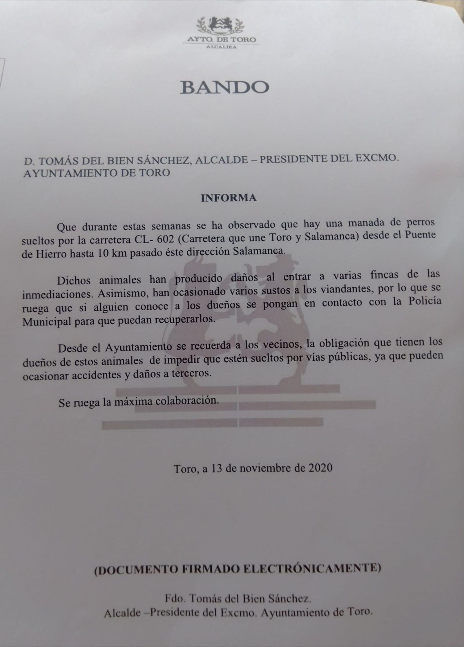 125396129 2842180442730068 3681013805487128620 o