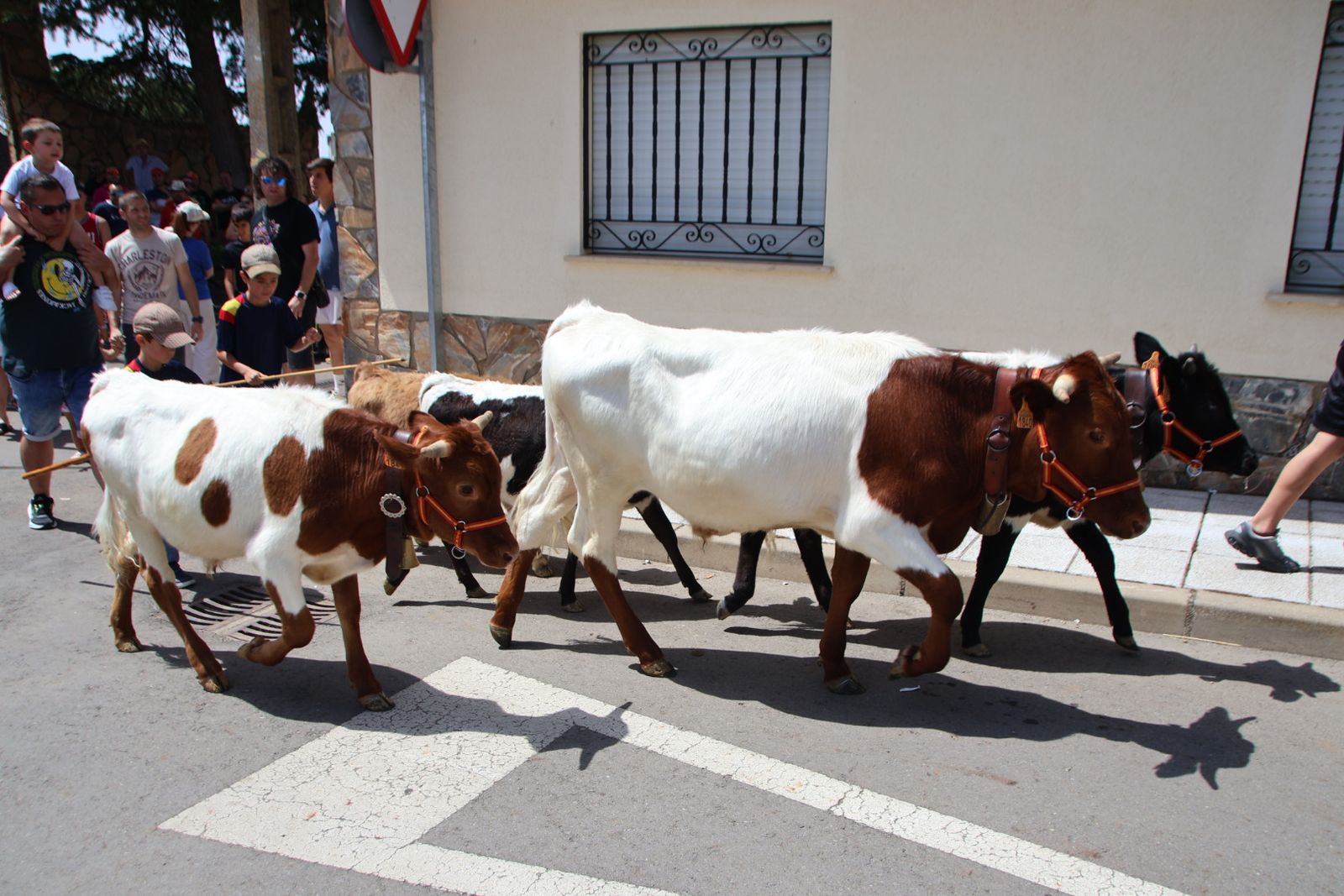 Castellanos de Villiquera, encierro infantil