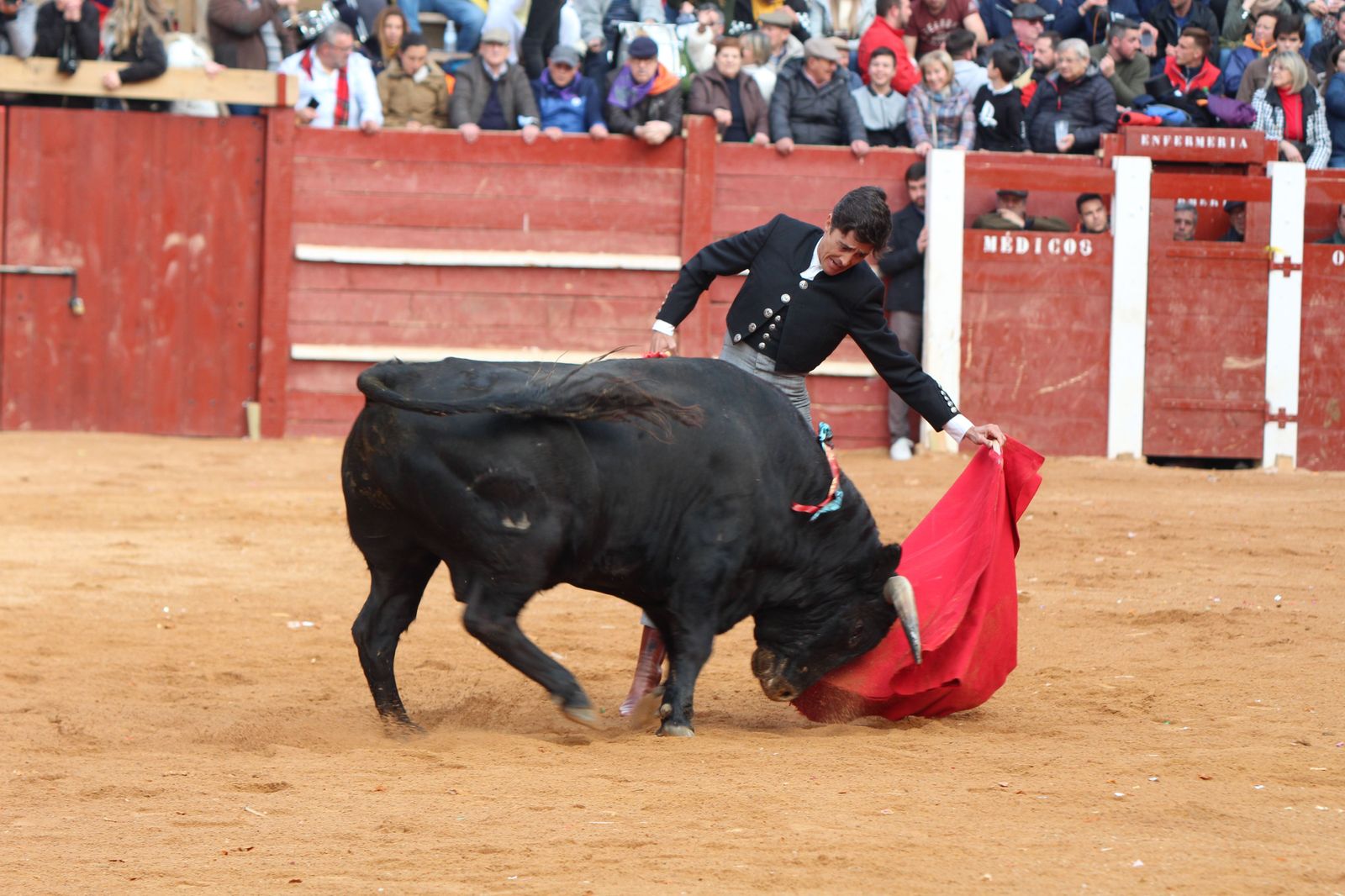 Chaves, El Capea y Pérez Pinto abren la Puerta Grande en el primer festival del Carnaval de Ciudad Rodrigo de 2023