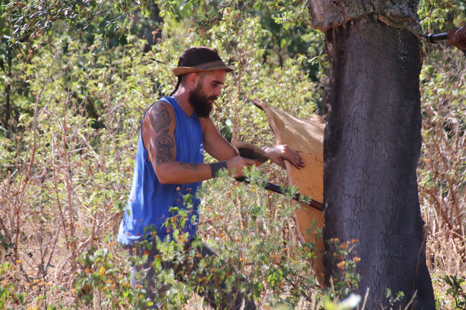 Saca de corcho Foto S24H (36)