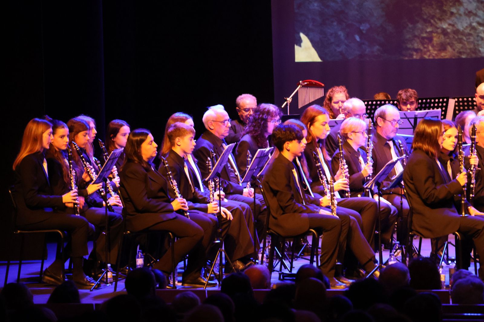 concierto-de-santa-cecilia-2024-29