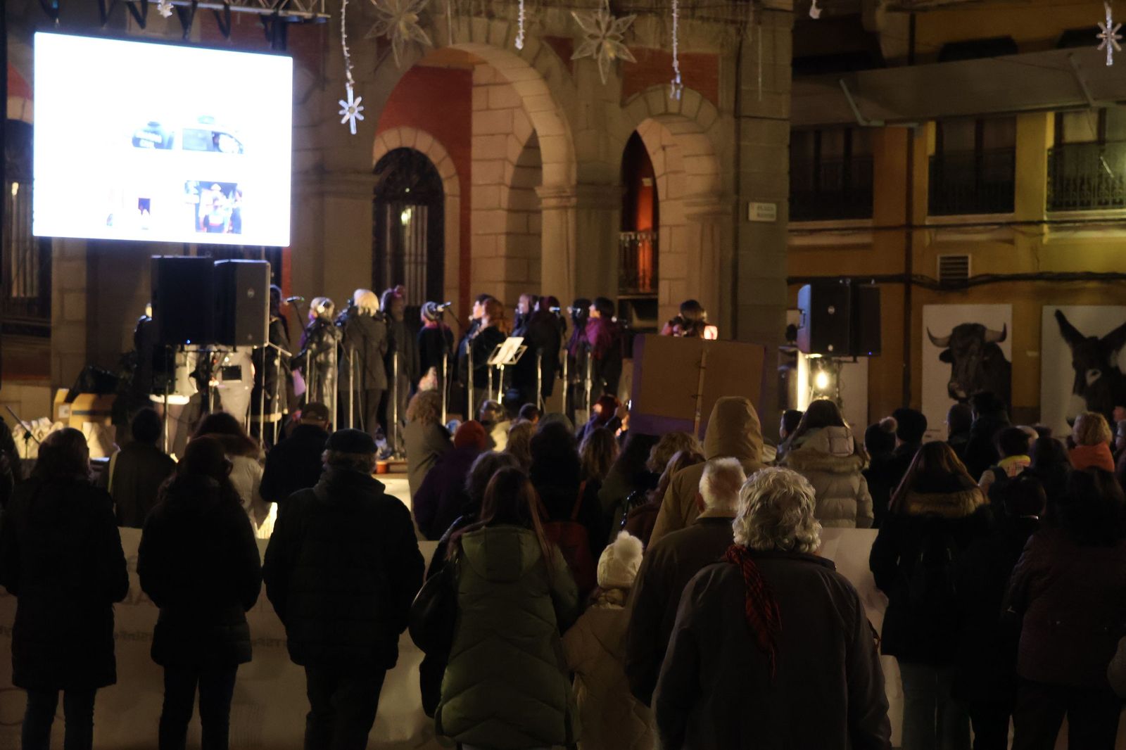 GALERÍA | La movilización en Zamora para reclamar el fin de la violencia machista en imágenes
