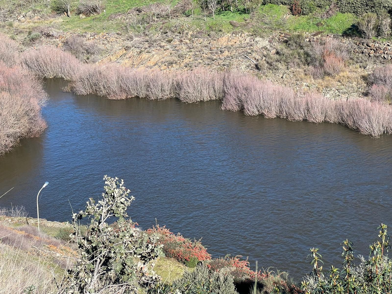 whatsapp-image-2024-01-20-at-13-55-00