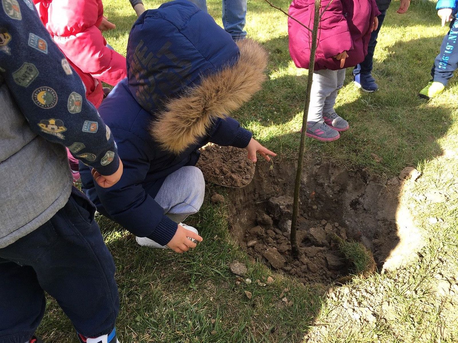 Castellanos de Moriscos nogal