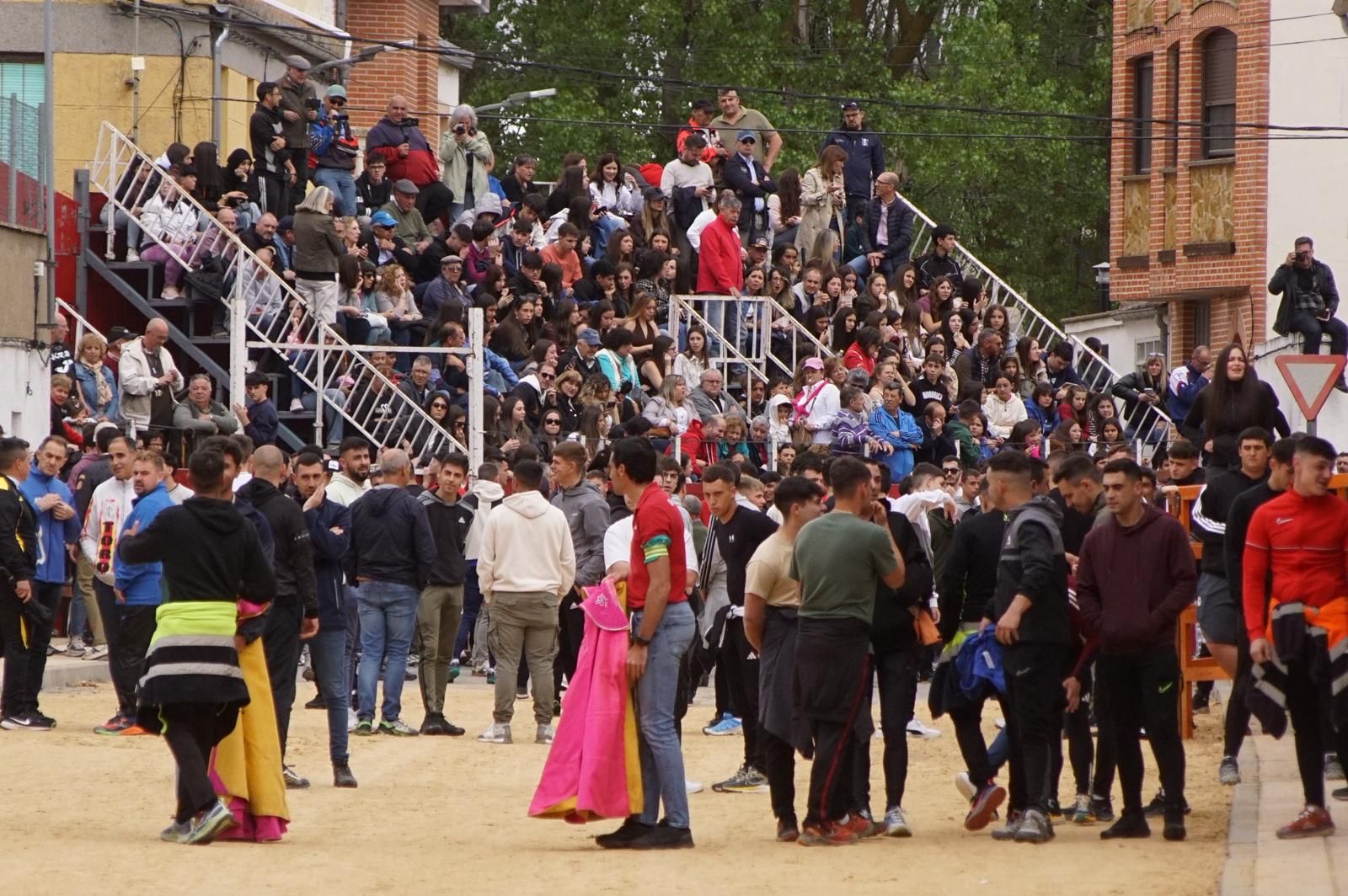 Villoria, toro del Voto