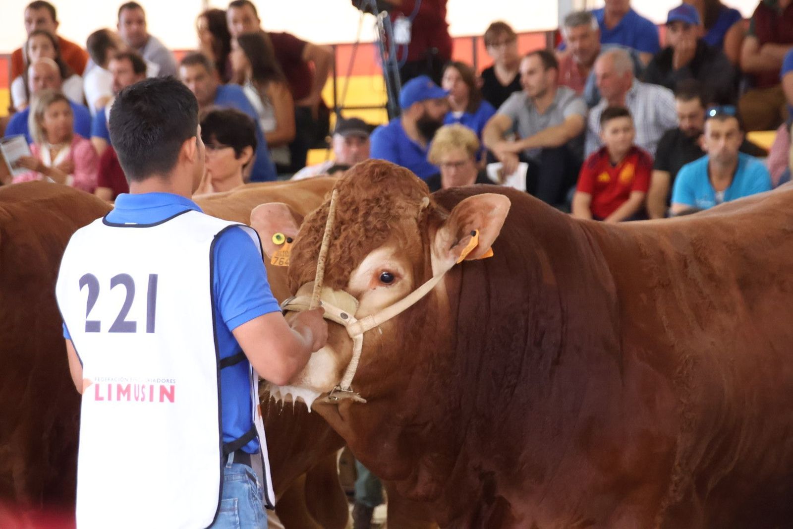 20230902104821-img-6981