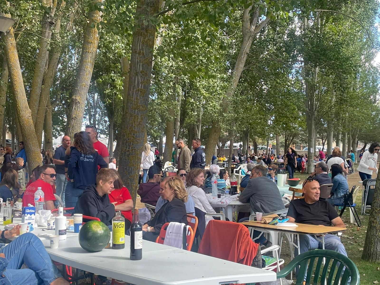 whatsapp-image-2024-09-07-at-17-03-38-2