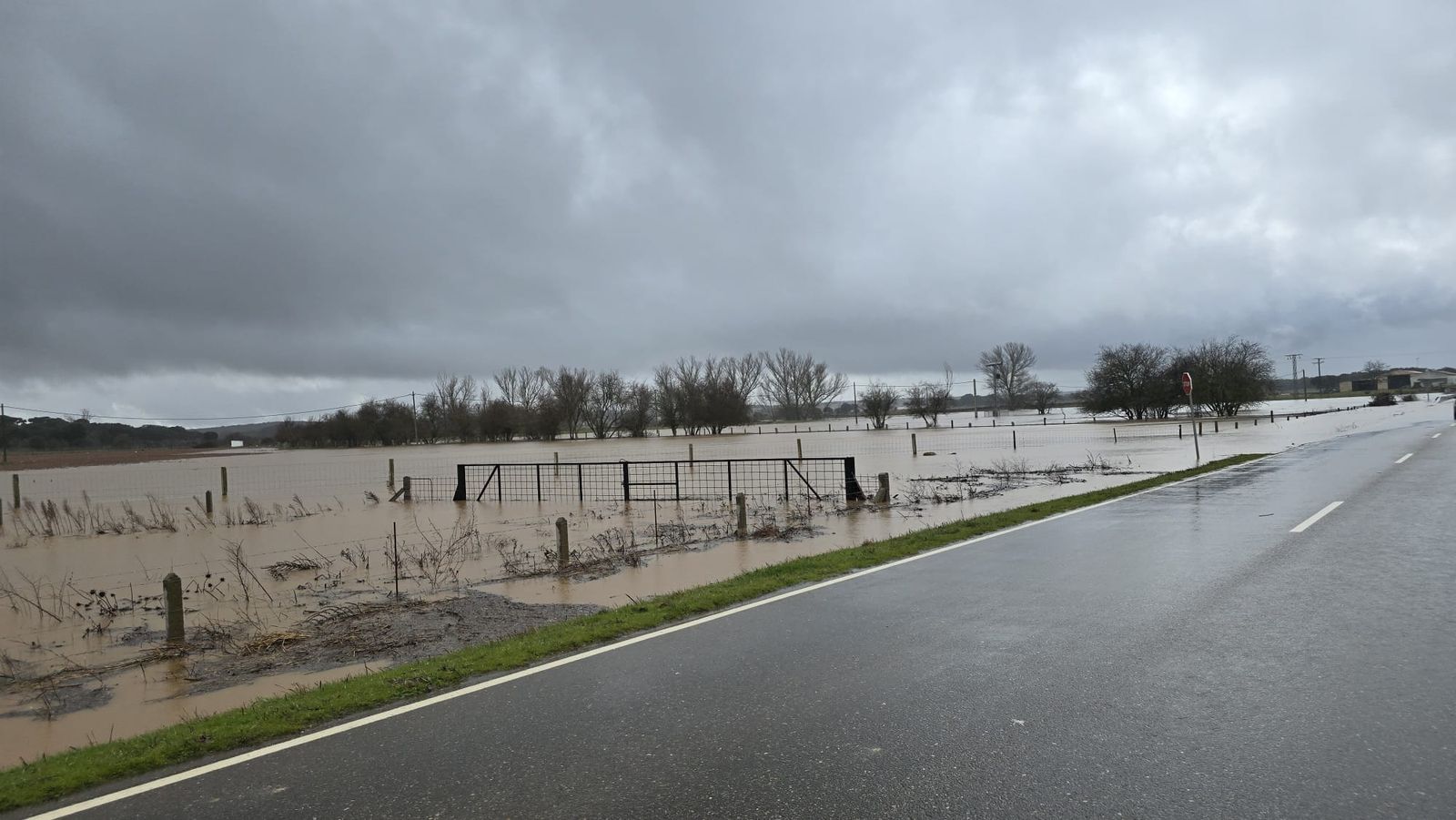 DSA 310, Carretera de Matilla inundada (5).jpeg