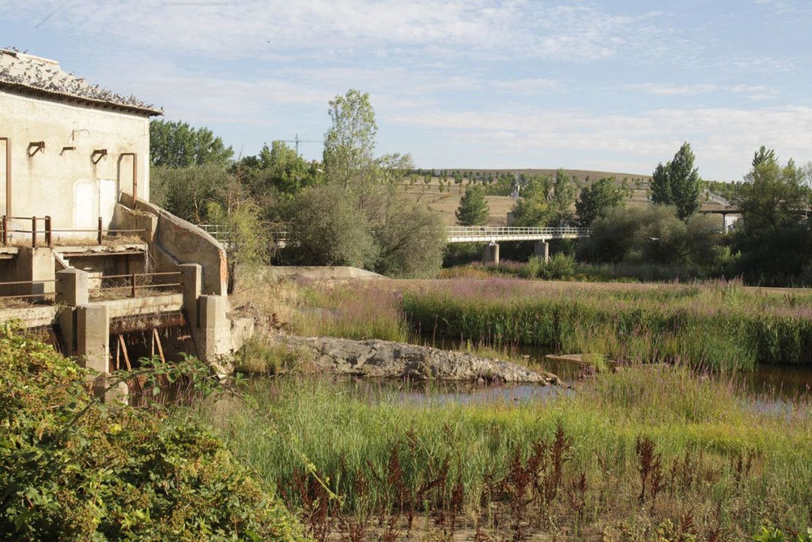 Visto bueno al proyecto que recuperará la pesquera de Tejares para su conversión en una zona de ocio