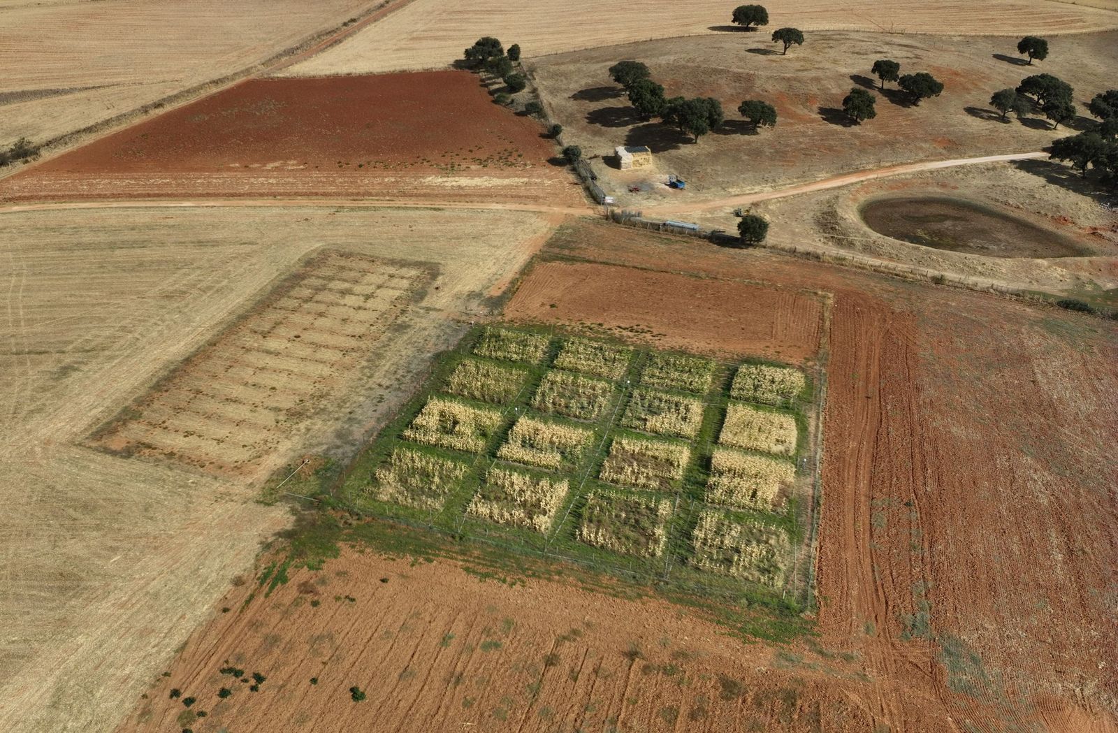 Agricultura regenerativa en Muñovela
