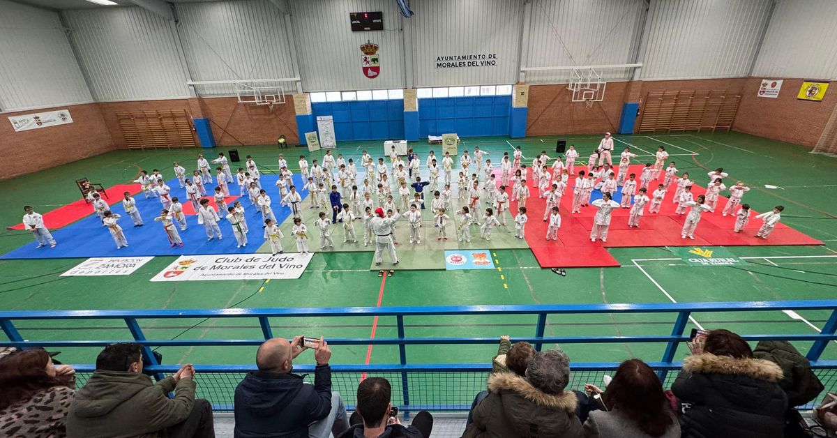 Judo Morales: Challenges, Christmas & Weekend Wins