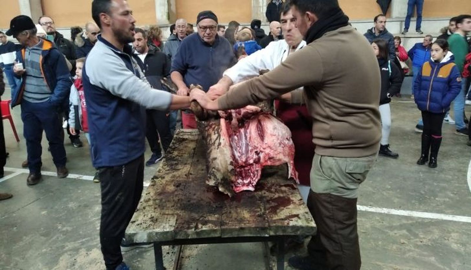 4af13746 99ee 42c9 8ebc d168bfd15f95