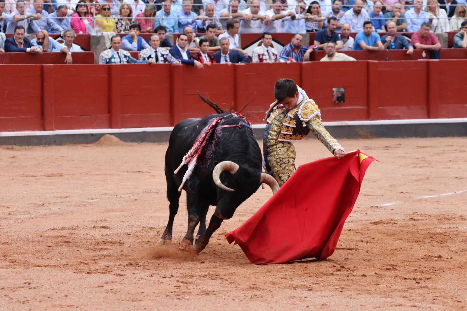 Ismael Martín, Marco Pérez y el aclamado regreso de Morante de la Puebla: su paso por La Glorieta en imágenes