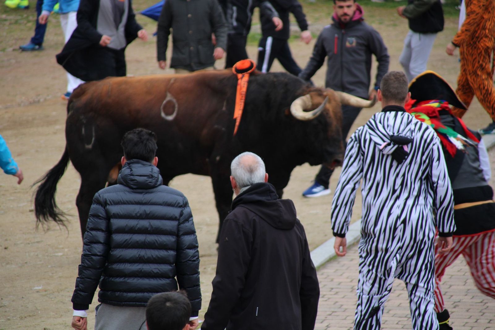 whatsapp-image-2025-03-01-at-11-56-35-1