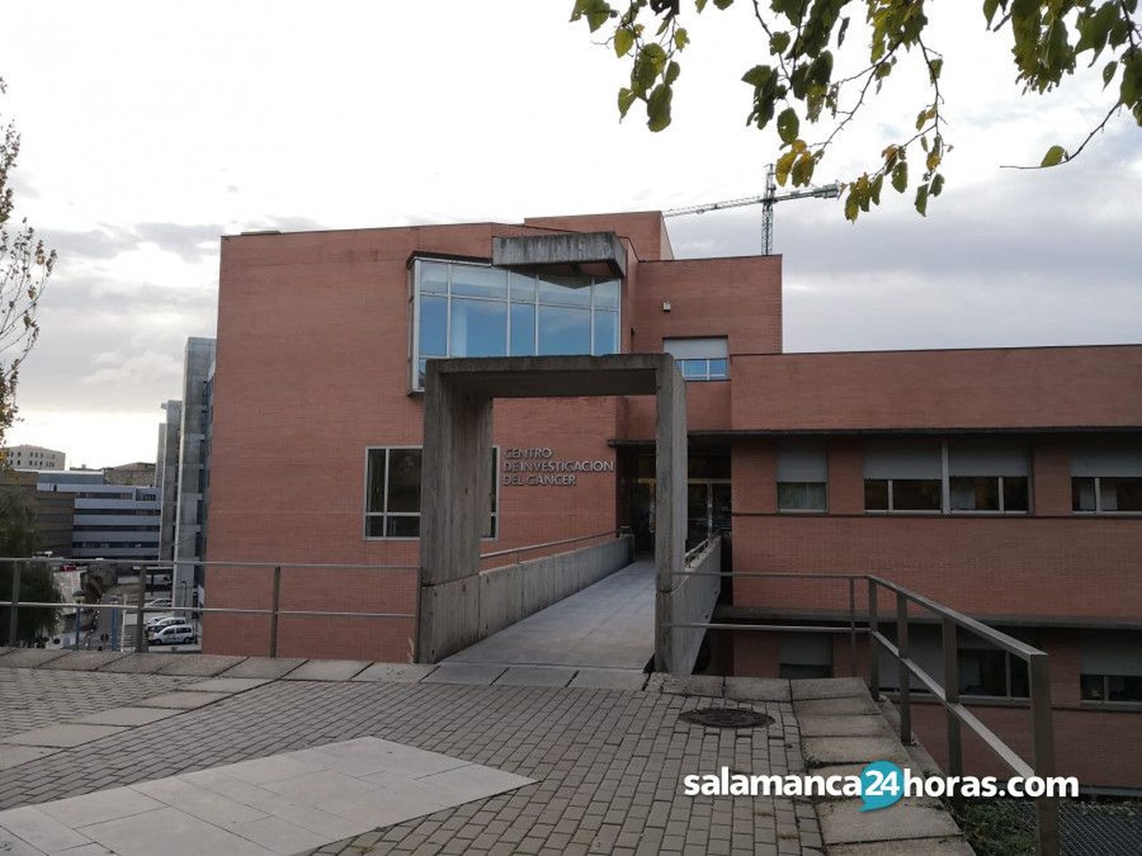 Centro de Investigación del Cáncer