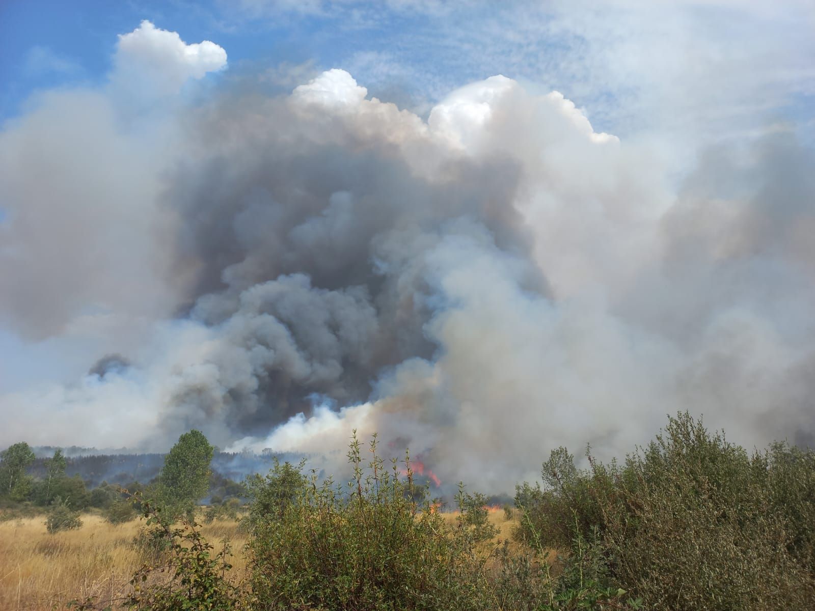 Incendio de Molezuelas de la Carballeda en estos momentos. Foto BRIF La Iglesuela