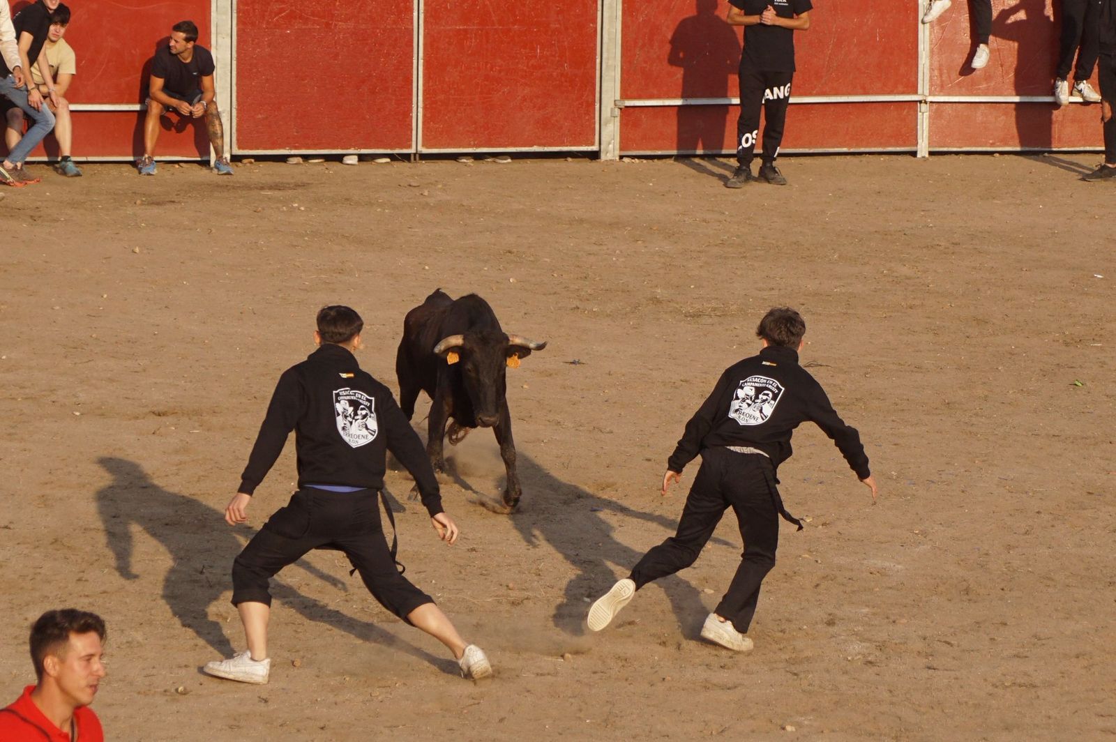 Carreras, risas y tradición: así se ha vivido El Toro en Santa Marta