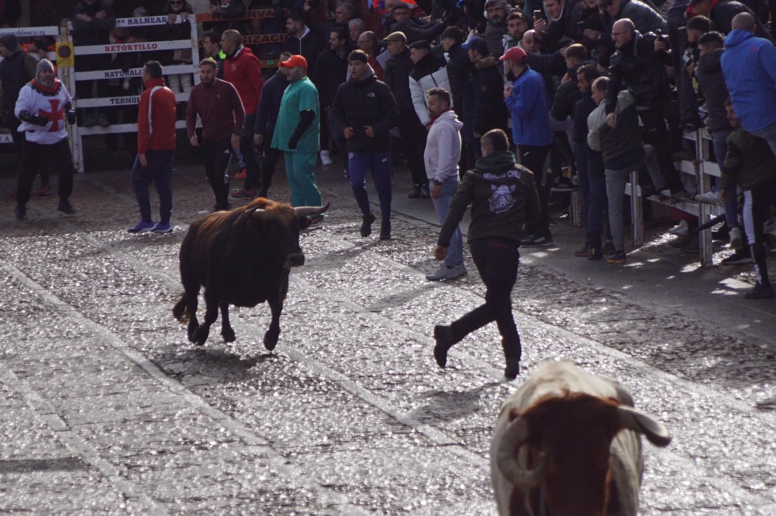 ambiente-encierro-urbano-lunes-de-carnaval-en-ciudad-rodrigo-12-de-febrero-de-2024-fotos-s24h-33