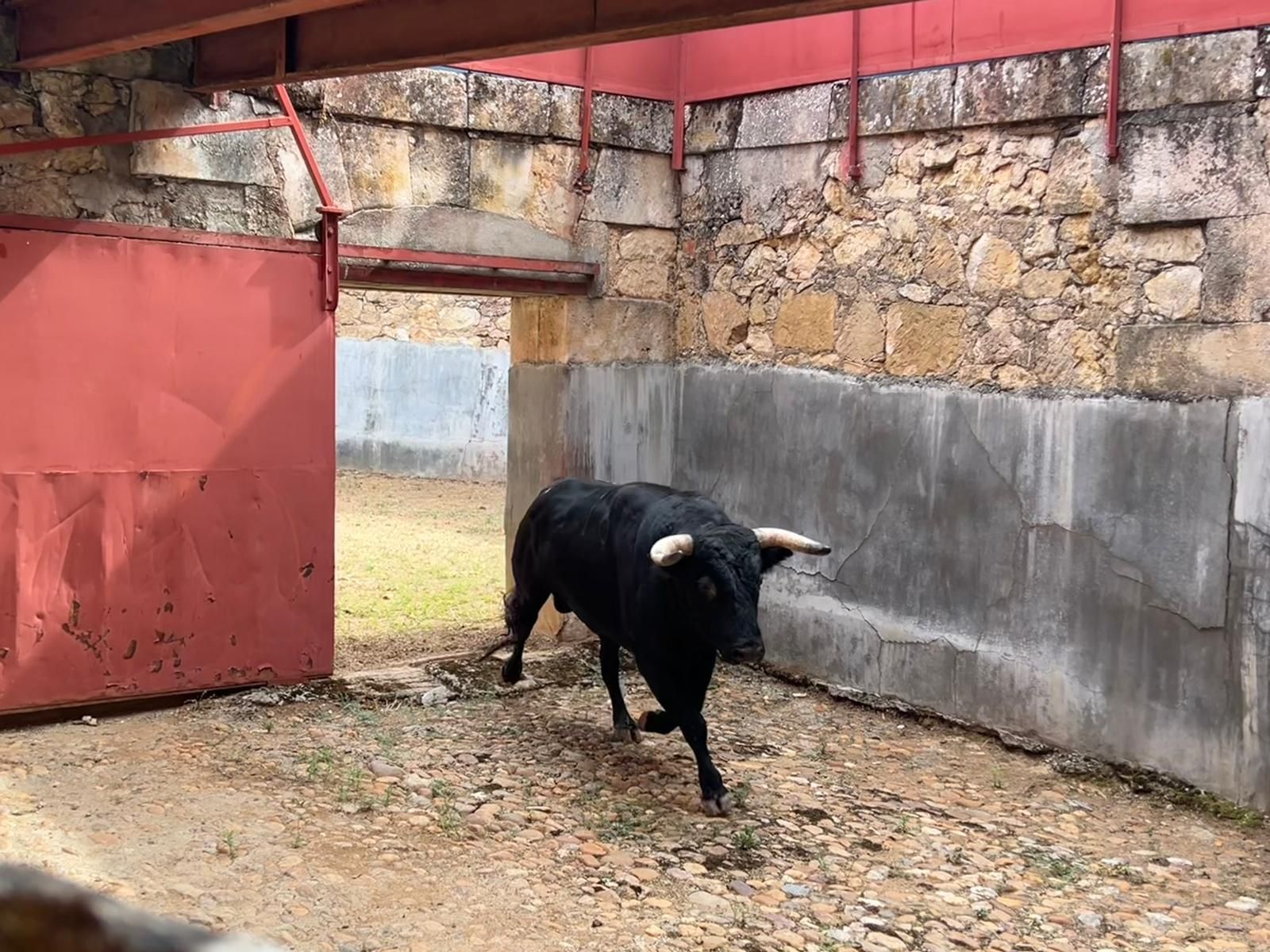 whatsapp-image-2023-09-09-at-12-24-08