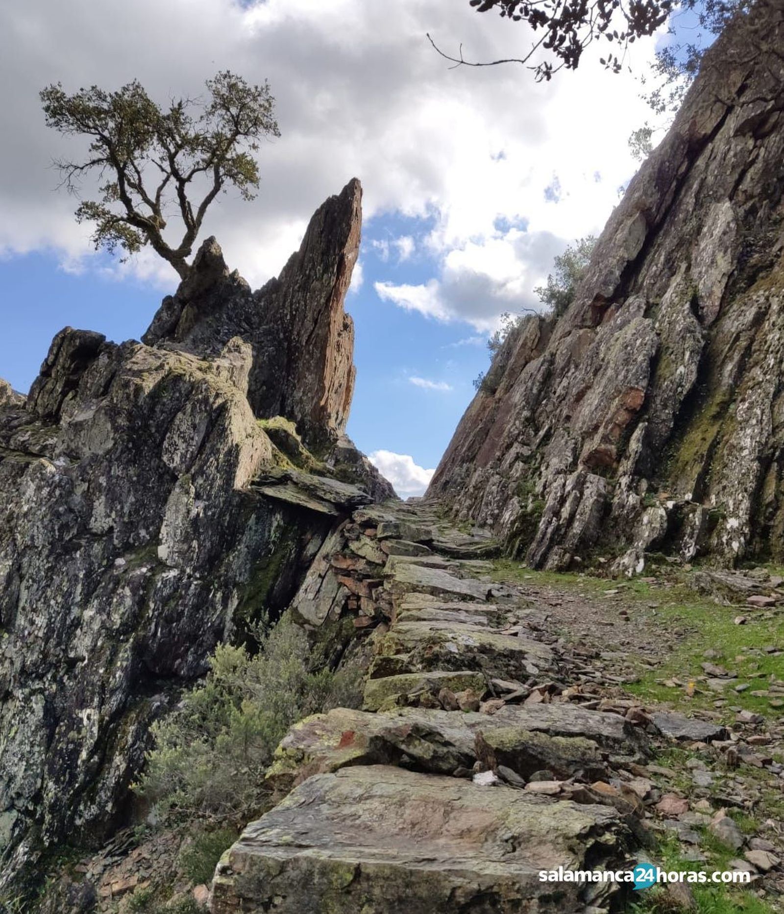 Herguijuela de la SierraWhatsApp Image 2020 11 18 at 10.15.25 (3)