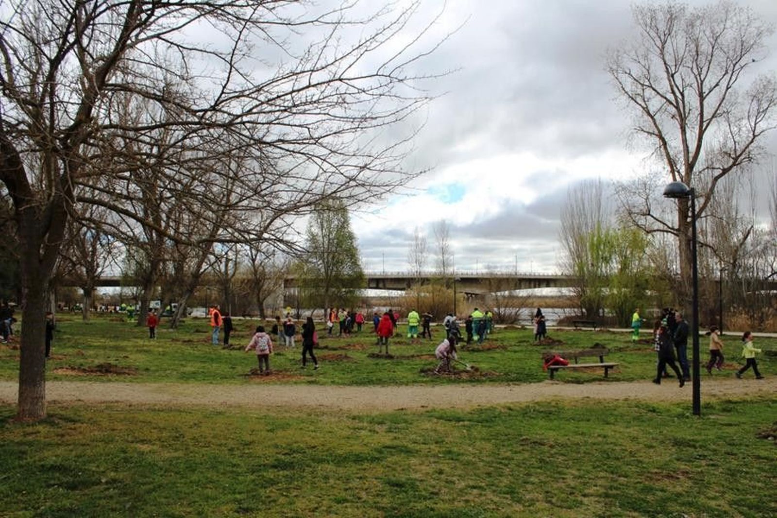 Plantación Arboles 1 (Copy)
