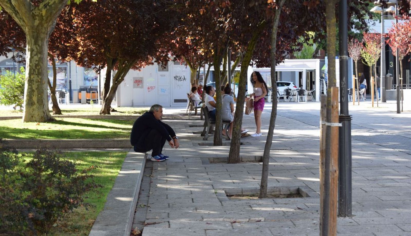 Zamoranos bajo la sombra en una ola de calor