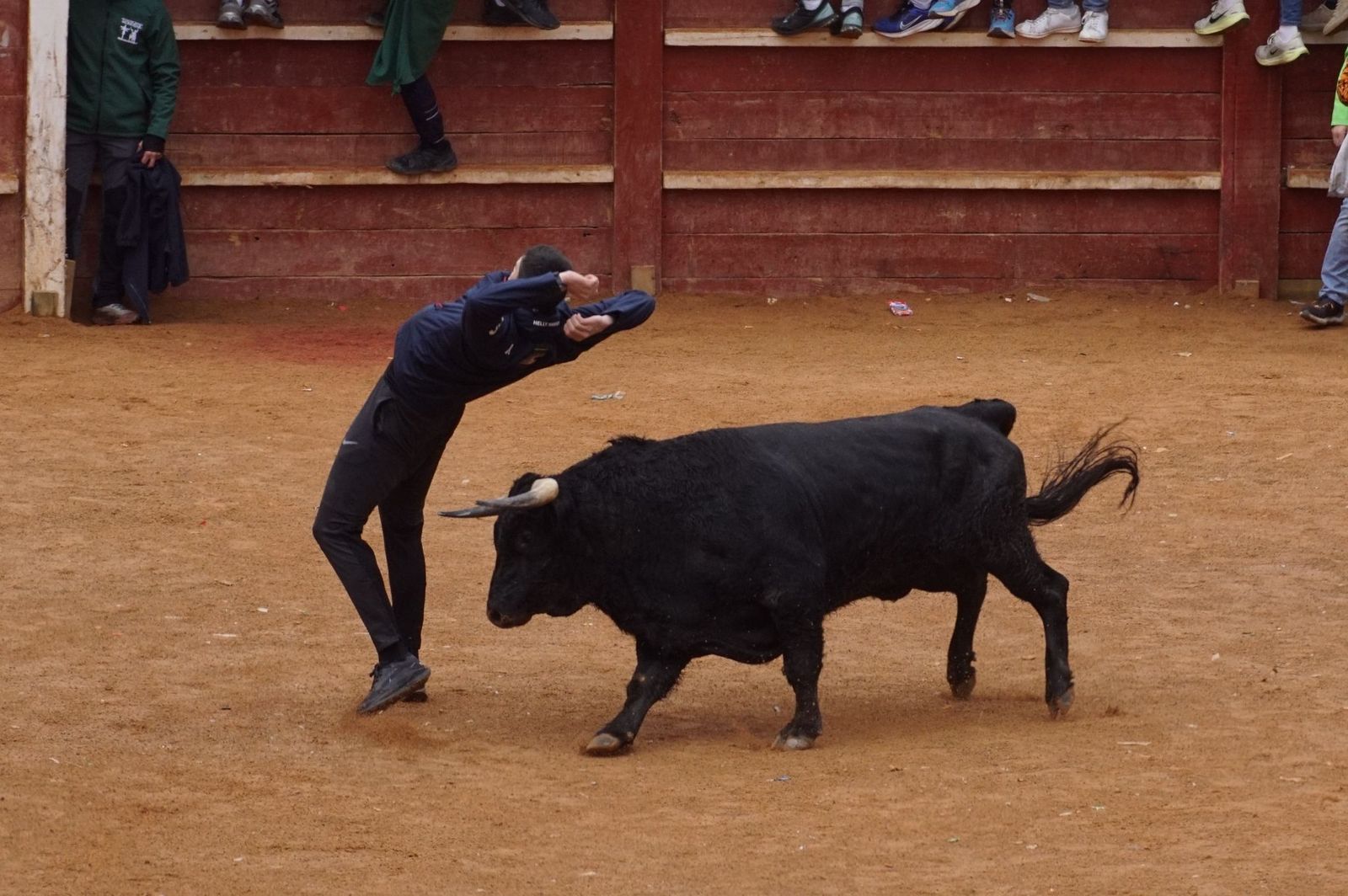 Capea matinal de domingo de carnaval en Ciudad Rodrigo (33).jpeg