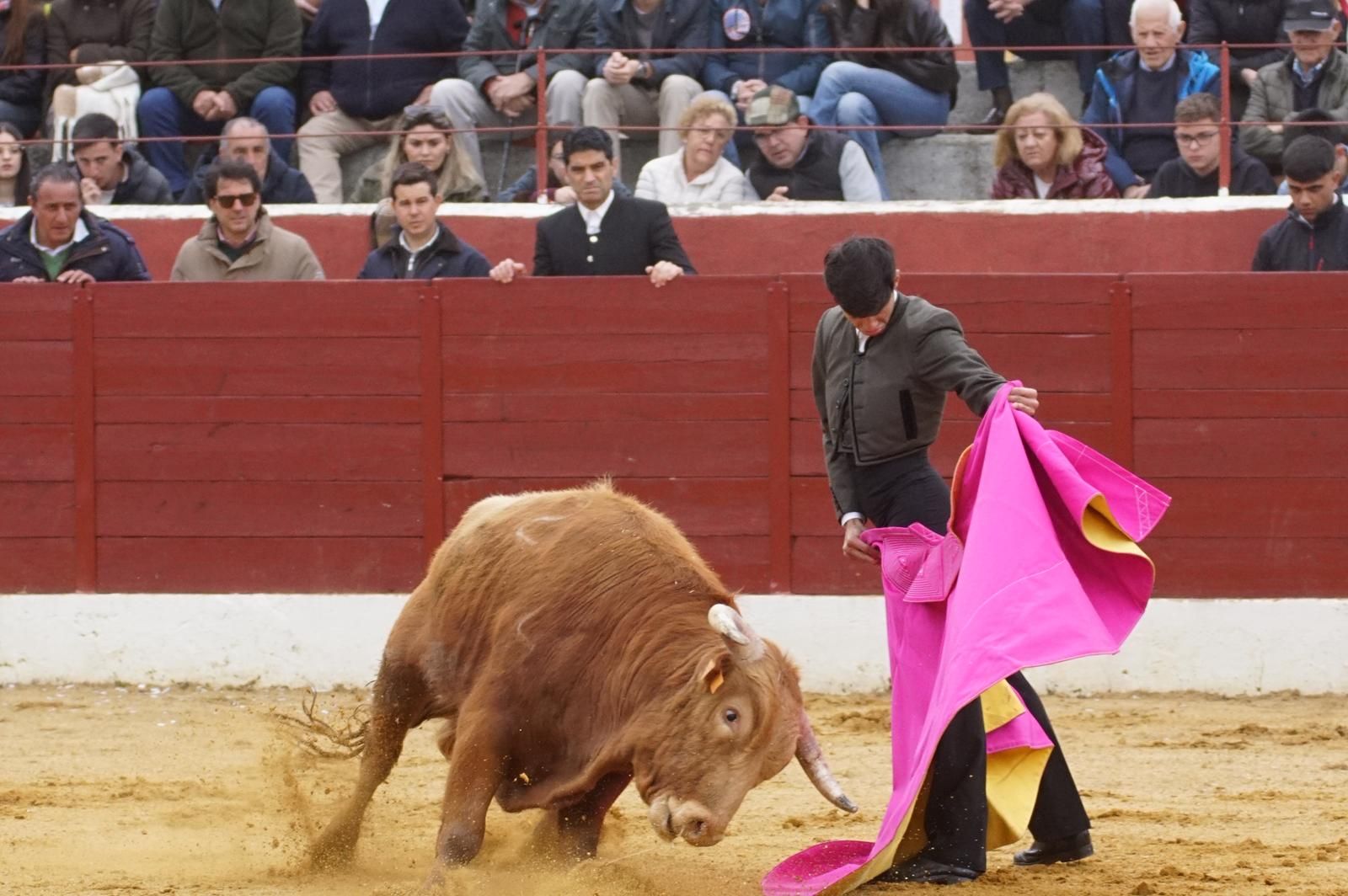 Festival taurino en Villoria