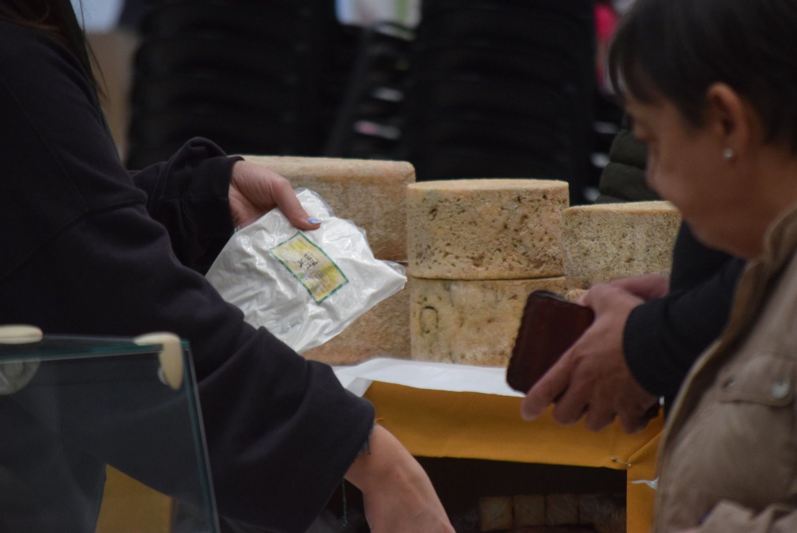 feria-de-ecocultura-2024-94