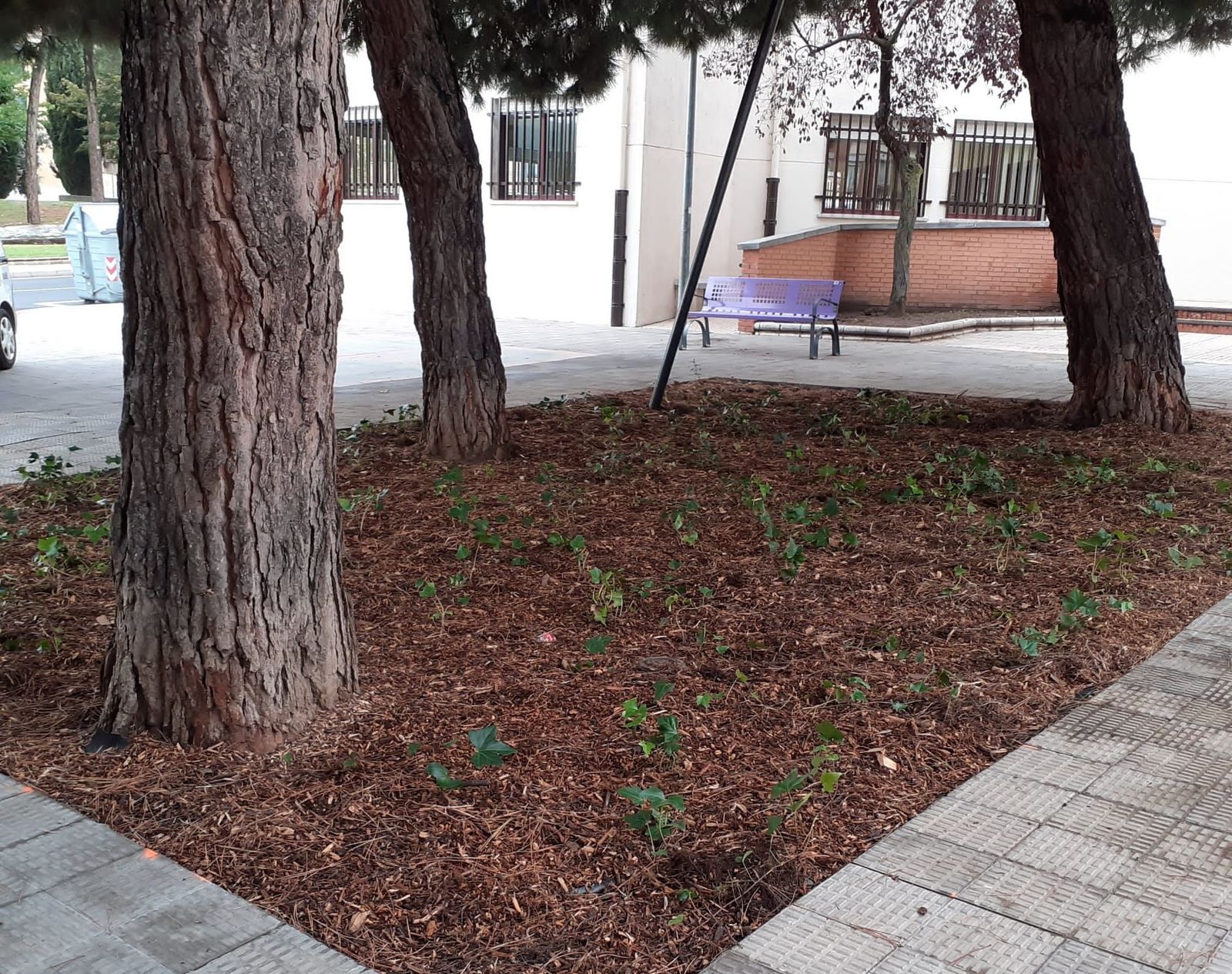 Parterre de la calle Lugo