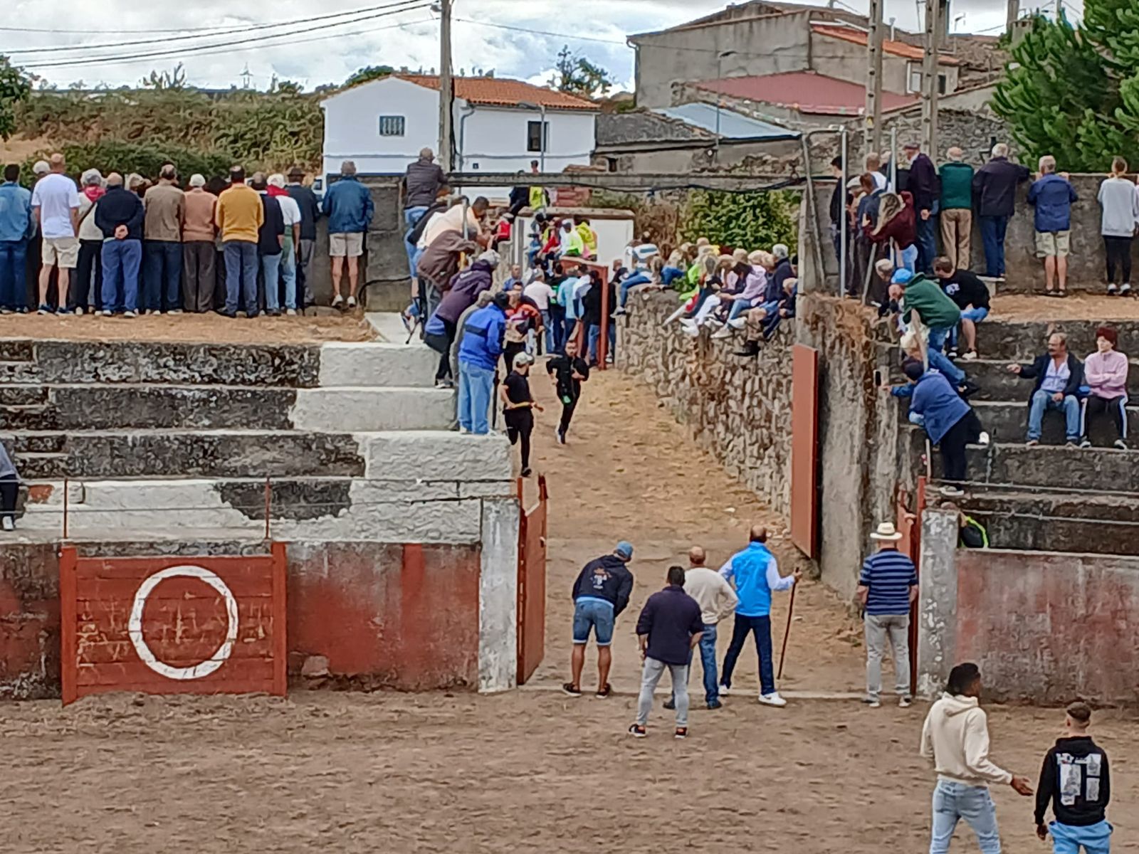 Segundo encierro con novillos de Valdeflores en Pereña de la Ribera
