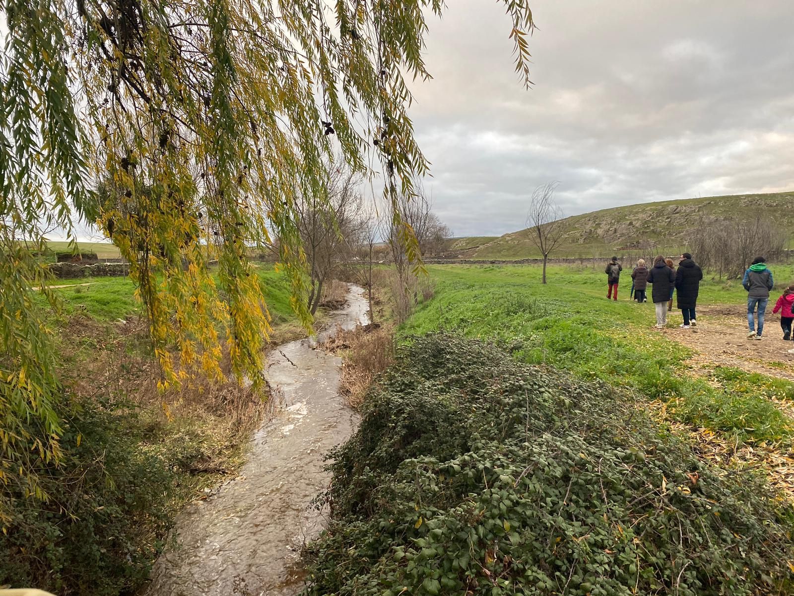 f53cba79-0dc2-4cff-807c-660b74944593