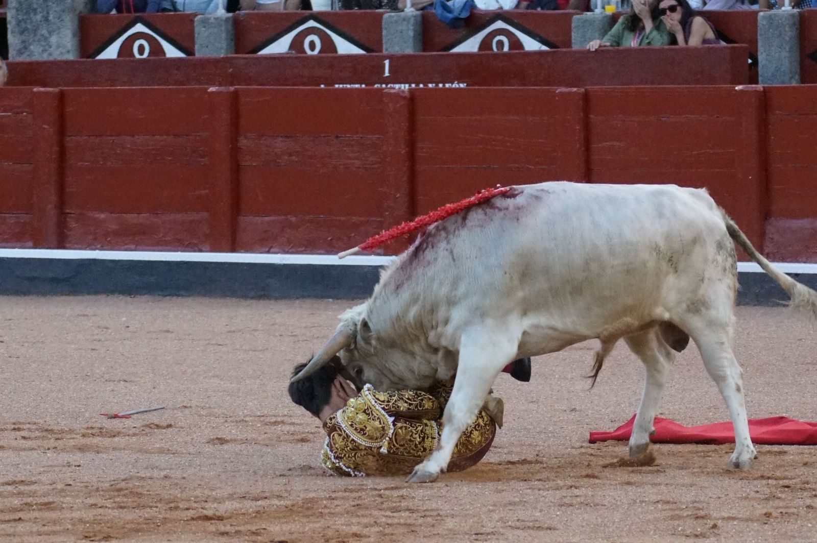 Clase práctica con alumnos de la Escuela de Tauromaquia de Salamanca (Diego Mateos, Noel García y Álvaro Rojo con erales de Esteban Isidro)