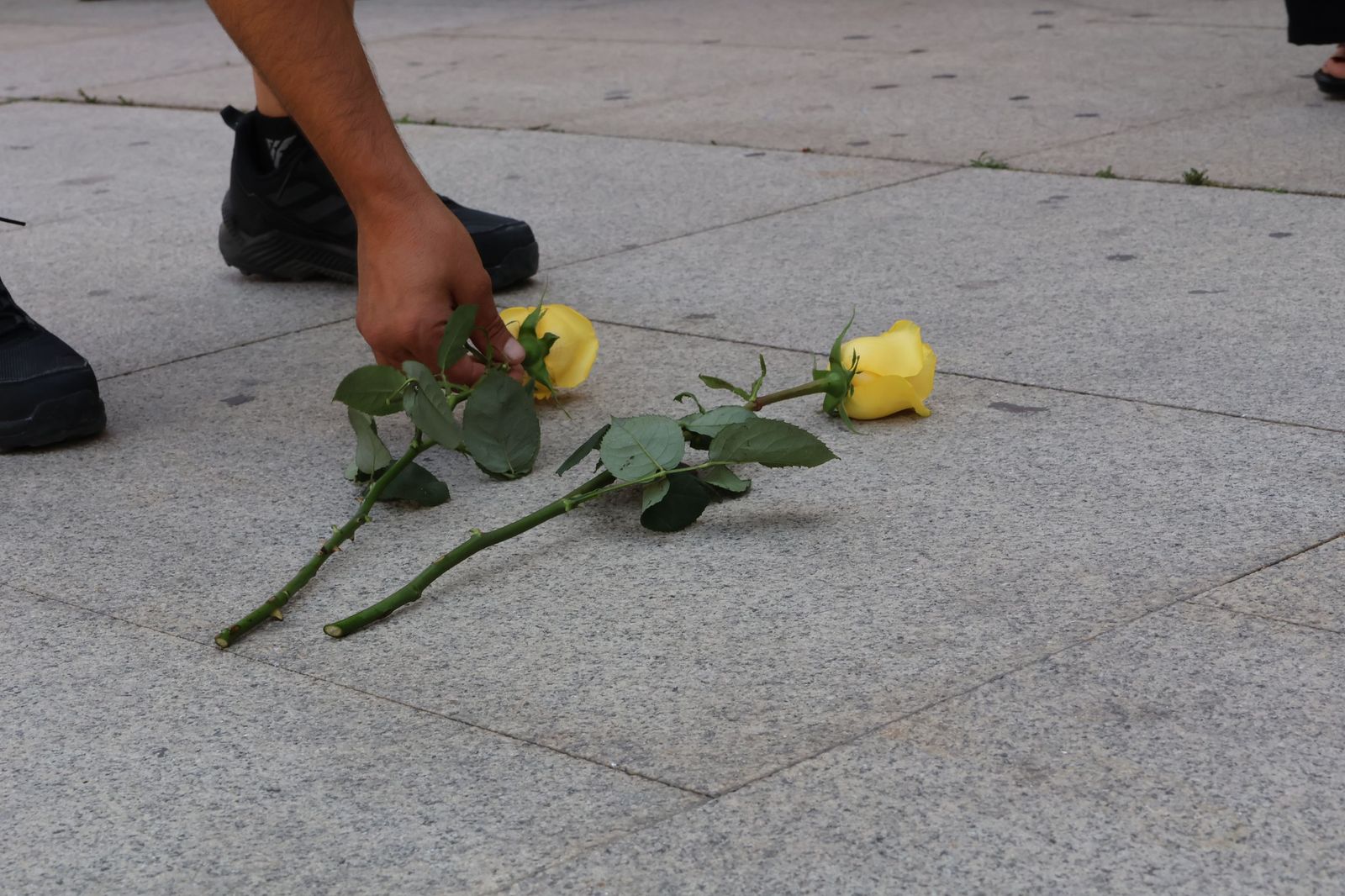 Marcha silenciosa en homenaje a David Lafoz (69).JPG