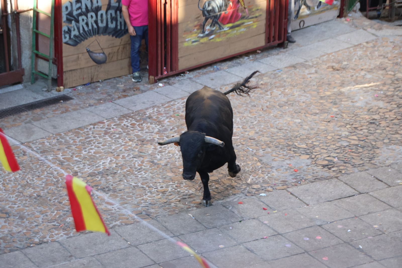 San Esteban de la Sierra, festival taurino sin picadores