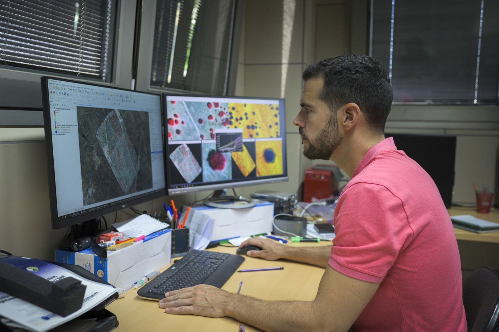 Un proyecto europeo desarrollará un sistema de alerta temprana para prevenir la mortalidad de pinares y encinares Un proyecto europeo desarrollará un sistema de alerta temprana para prevenir la mortalidad de pinares y encinares