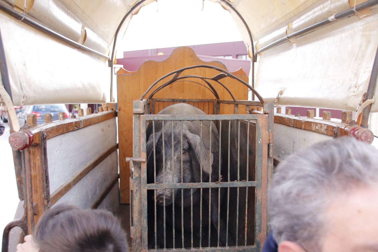 20220219130745-mg-8014