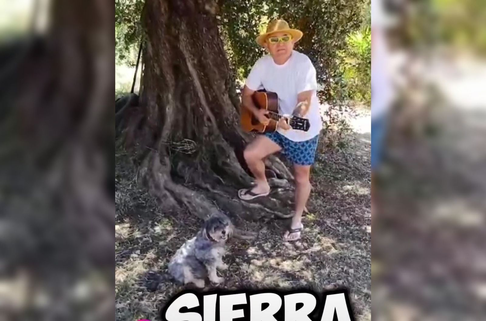 El Koala, cabeza de cartel de La Sierra Renace