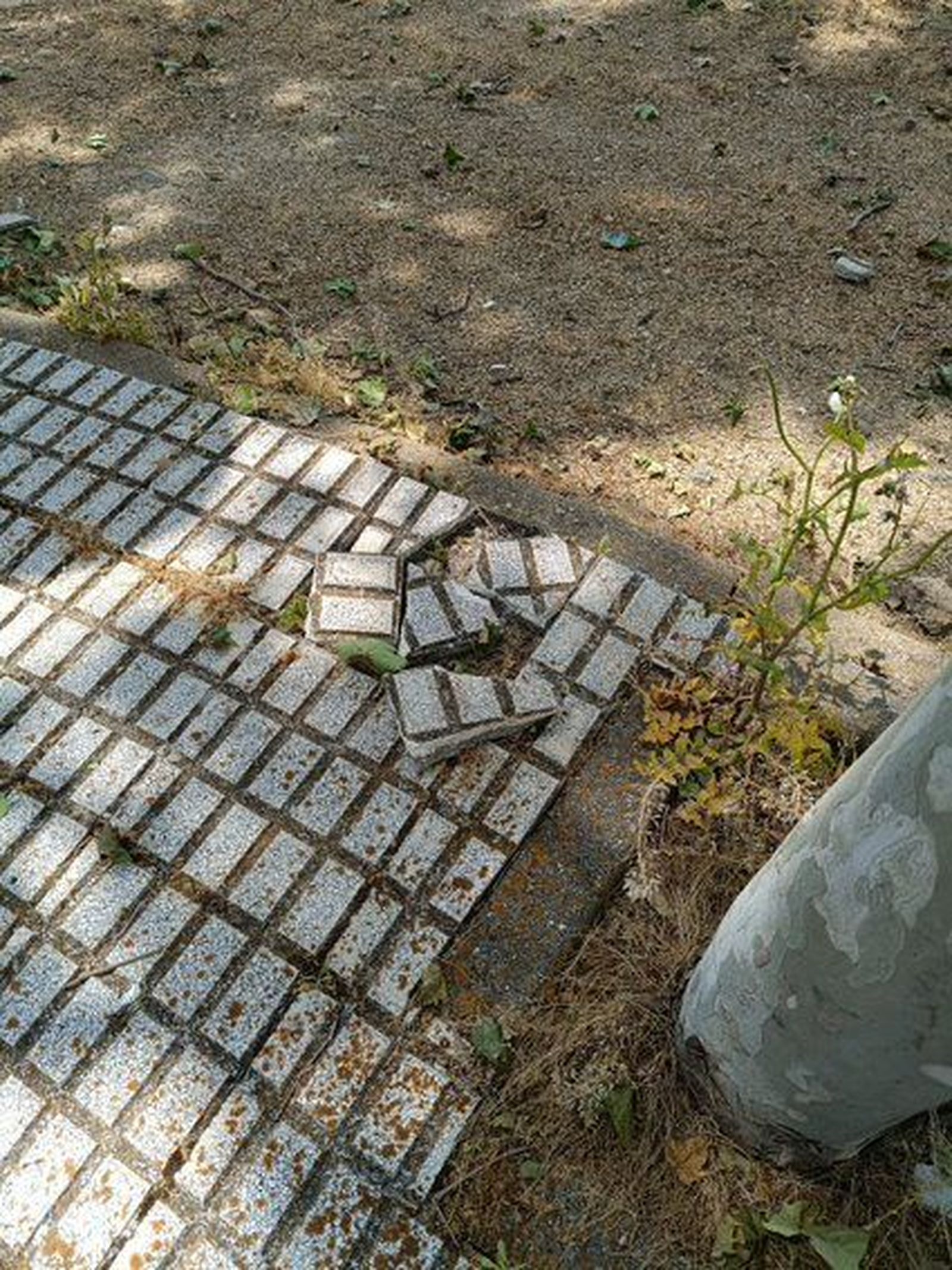 5f7a88be-2aba-4367-9277-d773a2a4f444