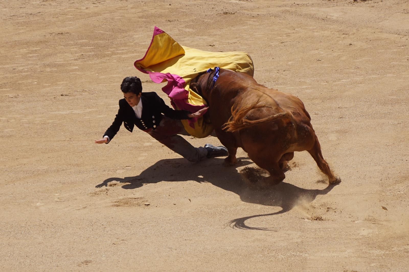 marco-perez-estreno-de-oro-en-las-ventas-16
