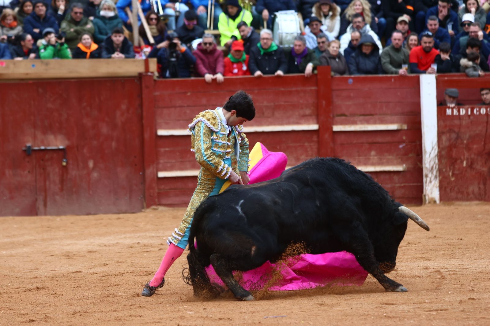 Novillada con picadores de lunes en el Carnaval del Toro de Ciudad Rodrigo 2026
